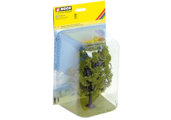 Noch 21781 Linde, 18,5 cm hoch | Bild 2