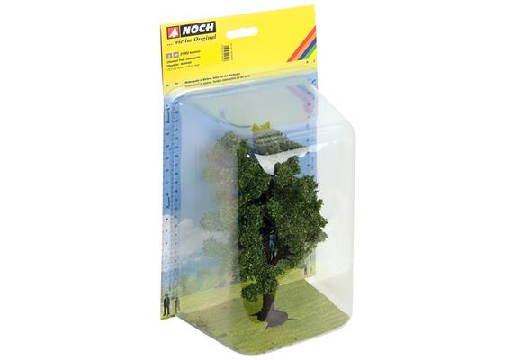 Noch 21802 Kastanie, 18,5 cm hoch | Bild 2