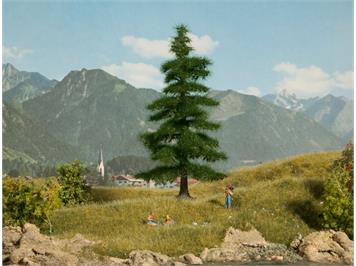 Noch 21811 Nordmanntanne, 14,5 cm hoch