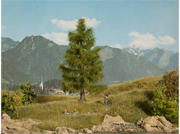 Noch 21816 Fichte, 14,5 cm hoch