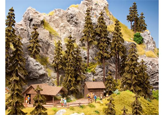 NOCH 21920 2 Wetterfichten HO / TT / N | Bild 2