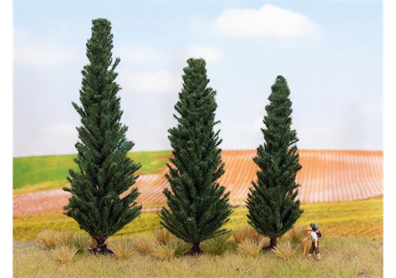NOCH 21998 Zypressen 10, 11 und 13 cm - H0 (1:87) | Bild 1