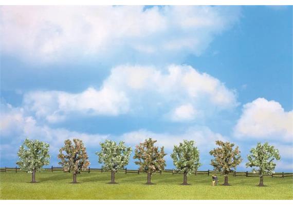 Noch 25092 Obstbäume blühend HO