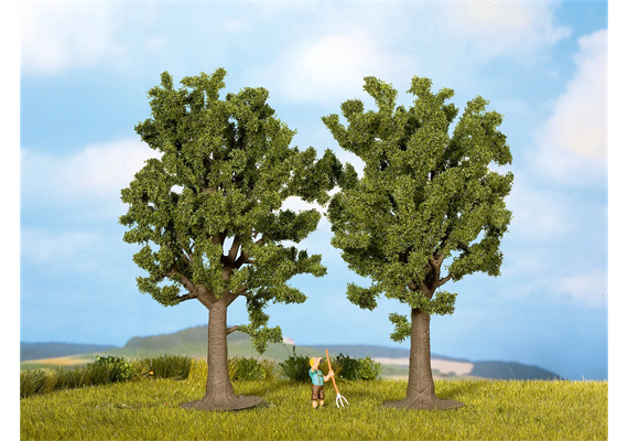 Noch 25170 Buchen, 2 Stück - H0 (1:87) | Bild 1