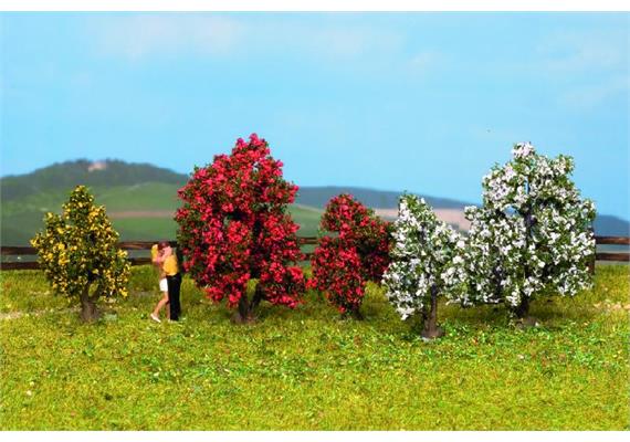 Noch 25420 Sträucher blühend, 5 Stück | Bild 1