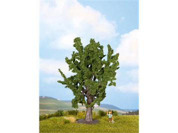 NOCH 25860 Eiche, 15 cm hoch - H0, TT, N, 0