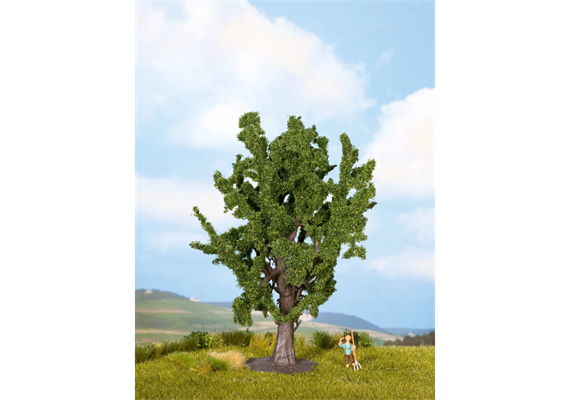 NOCH 25860 Eiche, 15 cm hoch - H0, TT, N, 0 | Bild 1