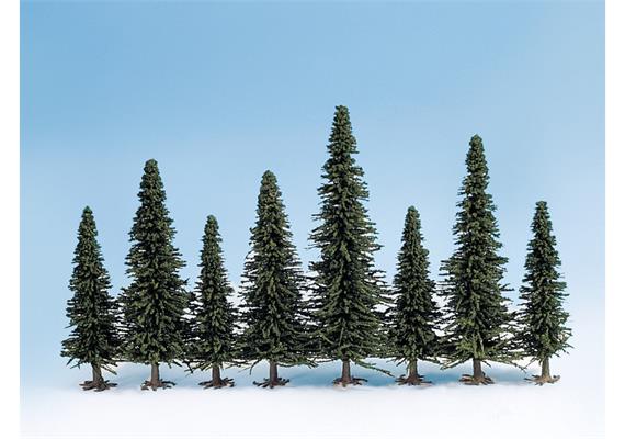 Noch 26420 10 Modelltannen 80 - 150 mm | Bild 1