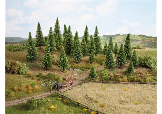 Noch 26820 Modelltannen, 25 Stück | Bild 3