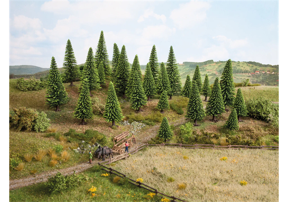 Noch 26825 Modellfichten, 25 Stück, Höhe 5 - 14 cm | Bild 3