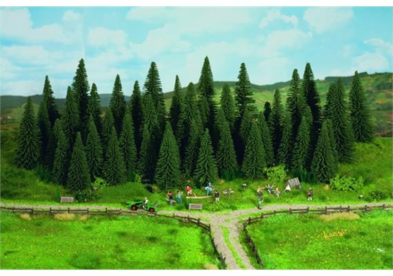 Noch 50 Stecktannen 60 - 150 mm HO | Bild 2