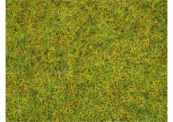 Noch 50190 Streugras “Sommerwiese”, 100 g | Bild 2