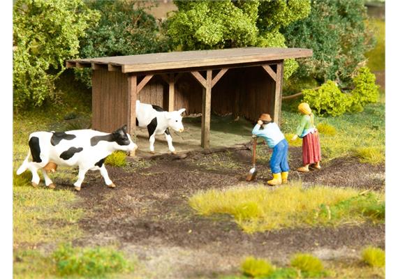 Noch 67136 Viehunterstand - Spur 0 (1:45) | Bild 2