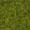 Noch 07072 Grasmischung Sommerwiese | Bild 2