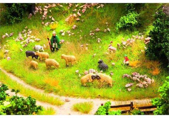 Noch Landschafts-Themenset "Schafweide"