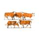Preiser 10146 Kühe, braun gefleckt - H0 (1:87)