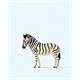 Preiser 29529 Zebra HO