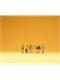 Preiser 79101 Arbeiter - N (1:160)
