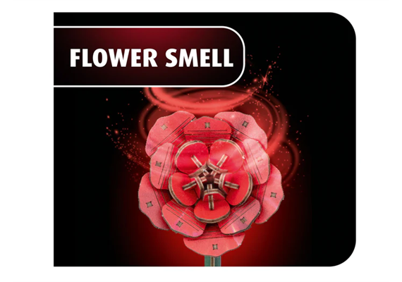 Revell 00631 Dream of Roses - Ein Liebesbeweis, der niemals verblüht | Bild 2