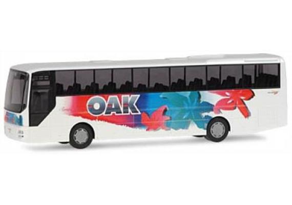 Rietze MAN Lion's Star "OAK Aare Seeland"