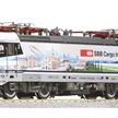 Roco 7500108 E-Lok 193 139 „Italienpiercer“ der Railpool verm. SBB Cargo, DC, analog - H0 | Bild 2