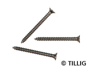 Tillig 08976 Mini-Holzschrauben (100 Stk.)