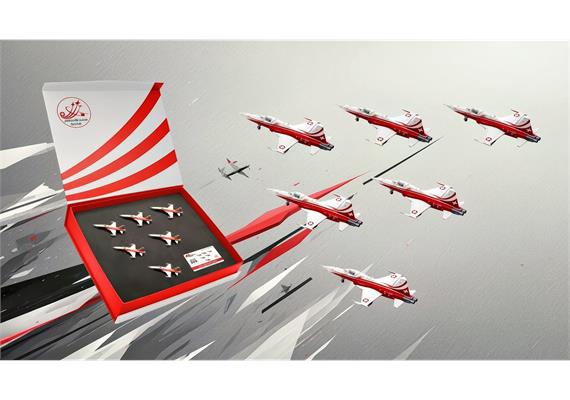 ACE 001808 Northrop F-5E Tiger II Patrouille Suisse Geschenkset - Massstab 1:200 | Bild 3
