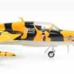 ACE J-4206 Hunter Mk 68 Trainer "HB-RVV Tigerpaint Version Altenrhein" | Bild 3