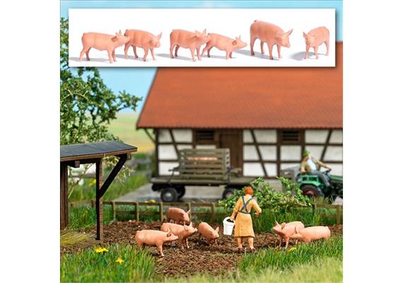 Busch 1172 Sechs Schweine - H0 (1:87) | Bild 2