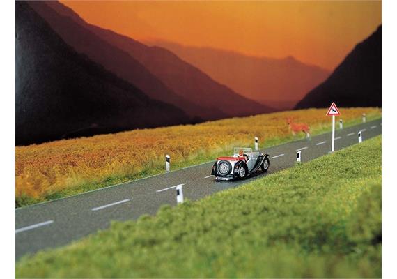 Busch 6033 Landstrasse - H0 (1:87)