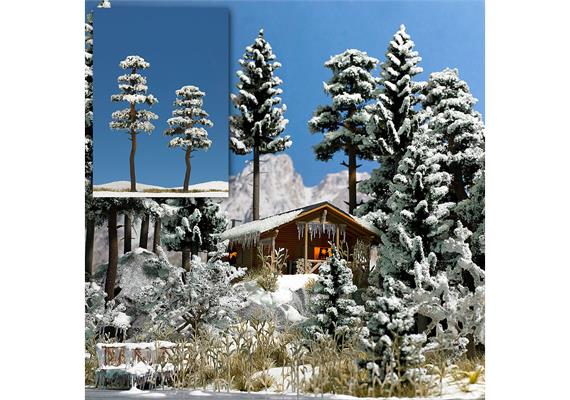 Busch 6155 2 verschneite Kiefern, 130 und 160 mm hoch - H0 (1:87)
