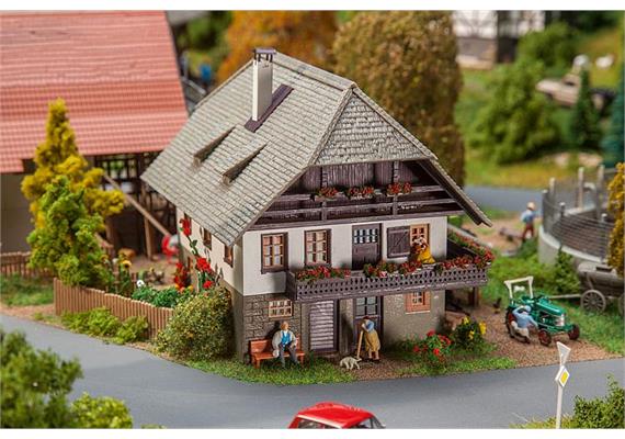 Faller 130539 Tagelöhnerhaus Oberprechtal HO | Bild 1