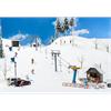 Faller 134003 Schlepplift mit Kiosk - H0 (1:87)