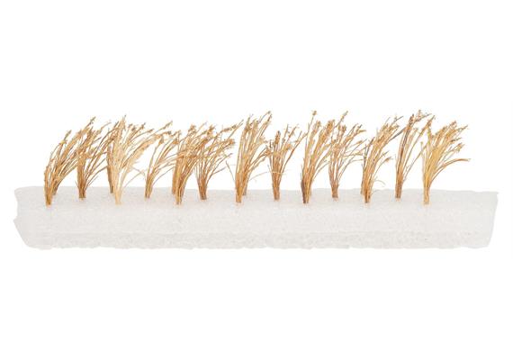 Faller 181287 26 Schilfpflanzen - H0 (1:87) | Bild 1