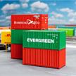 Faller 182051 20' Container, 5er-Set - H0 (1:87) | Bild 1