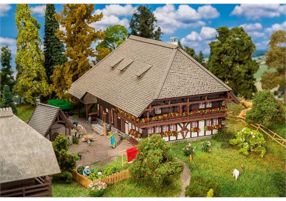 Faller 191834 Schwarzwaldhof - H0 (1:87) | Bild 2
