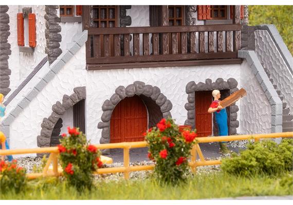 Faller 191839 Haus Alpina - H0 (1:87) | Bild 2