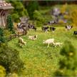 Faller 272800 Figuren-Set mit Mini-Sound-Effekt Kühe - N (1:160) | Bild 1