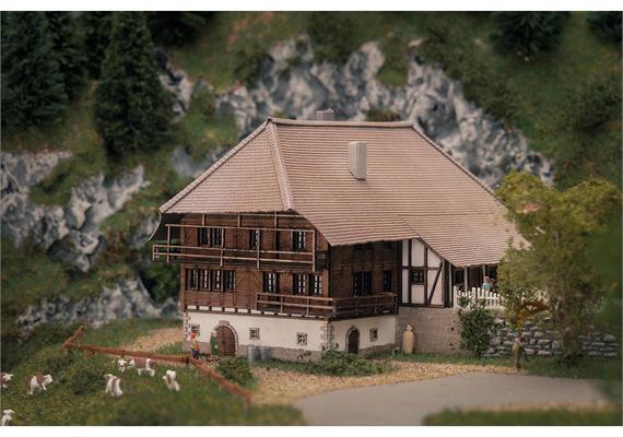 Faller 282784 Jubiläumsmodell Schwarzwaldhof - Z (1:220) | Bild 1