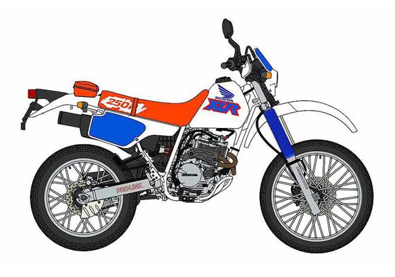 Hasegawa 621518 1/12 Honda Xlr250R - Massstab 1:12