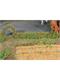 HEKI 11806 2 flexible Rosenhecken, 0,7 x 0,7 x 50 cm