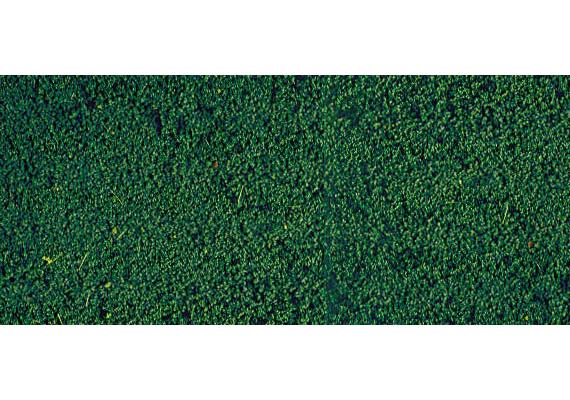 Heki 1603 mikroflor Belaubungsvlies kieferngrün, 28 x 14 cm