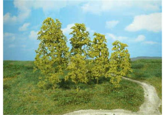 Heki 1640 12 Naturbäume hellgrün