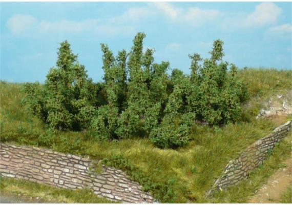 HEKI 1725 10 Büsche, 3 cm