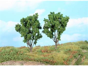 HEKI 1772 2 Mimosen, 13 cm