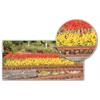 HEKI 1819 8 Grasstreifen gelb/rot, 100 mm, 10 mm hoch