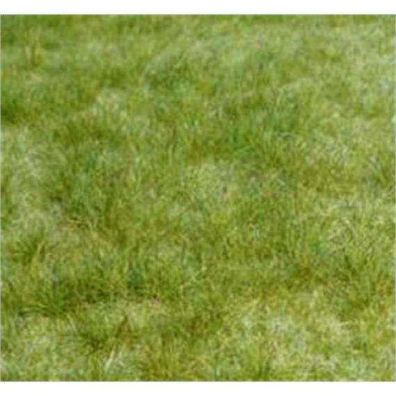 Heki 1841 realistic Wildgras Frühlingsgras, 45 x 17 cm