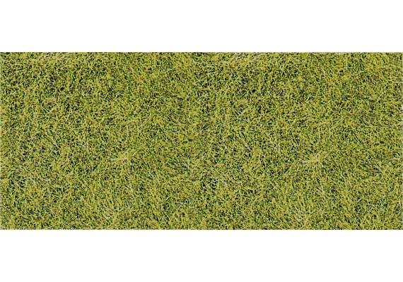 HEKI 1855 Wildgras Wiesengrün Grosspackung 40 x 40 cm