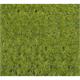 HEKI 1856 Wildgras Waldboden Grosspackung 40 x 40 cm