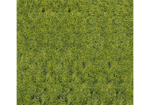 HEKI 1856 Wildgras Waldboden Grosspackung 40 x 40 cm